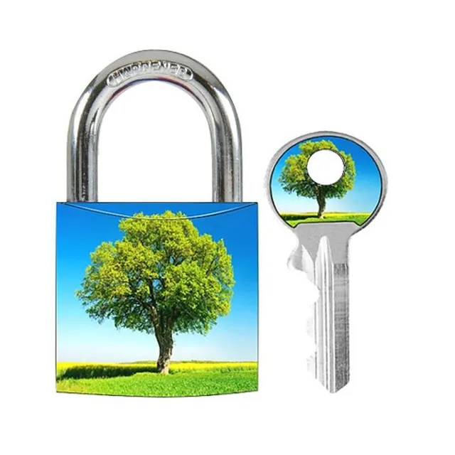 Master Lock 3430EURDAST visací zámek 30 mm Tree modrý