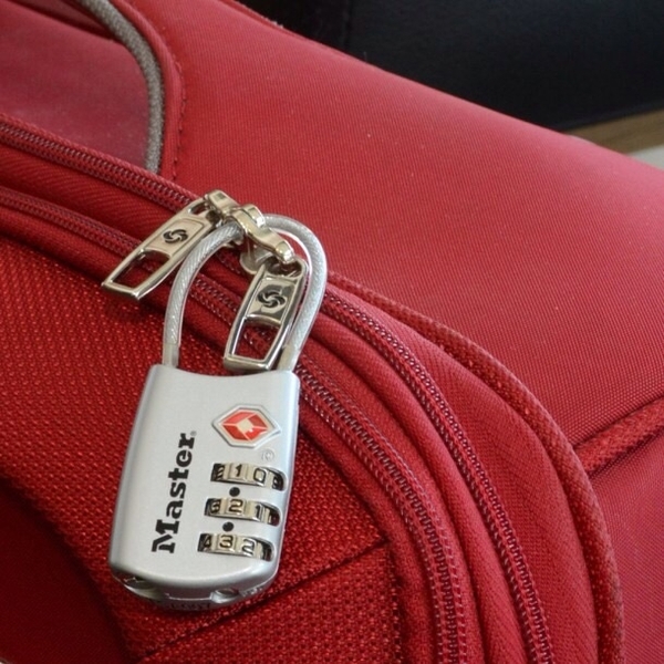 Master Lock 4688EURD TSA zámek na zavazadlo stříbrný