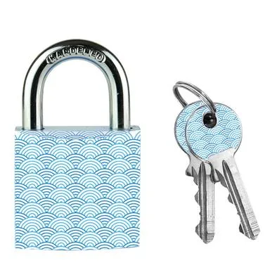 Master Lock 3430EURDWAVE visací zámek 30 mm hliníkový